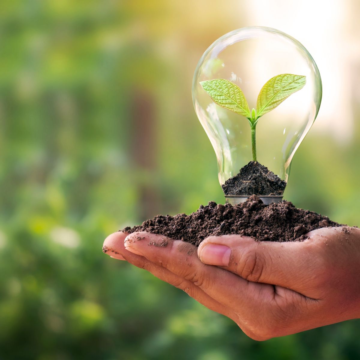 Avanzando en la reducción de la huella de carbono con la reutilización